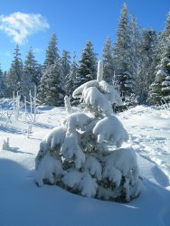 un hiver aux fermes du chateau chambre d'hote en haute loire