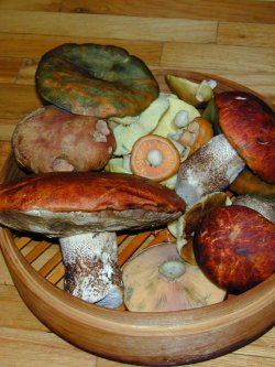 chambre hote ferme chateau St-maurice Haute-Loire 43 entre Saint-Etienne & le Puy